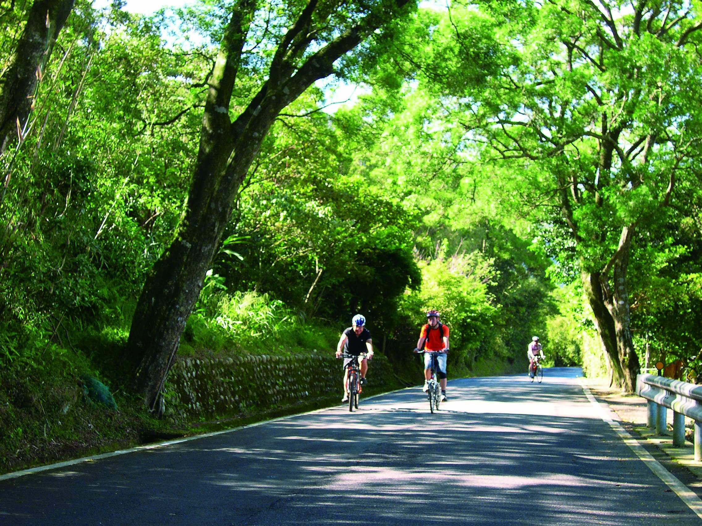 Cycling through the cool, shaded canopy of Balaka Highway. / Provided by YMPH
